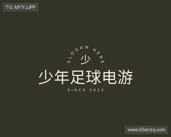 解析少年足球电游